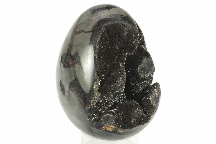 Septarian Dragon Egg Geode #234008